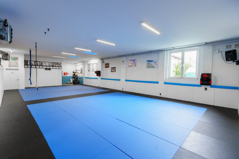 Training bei germano’s team in Chemnitz